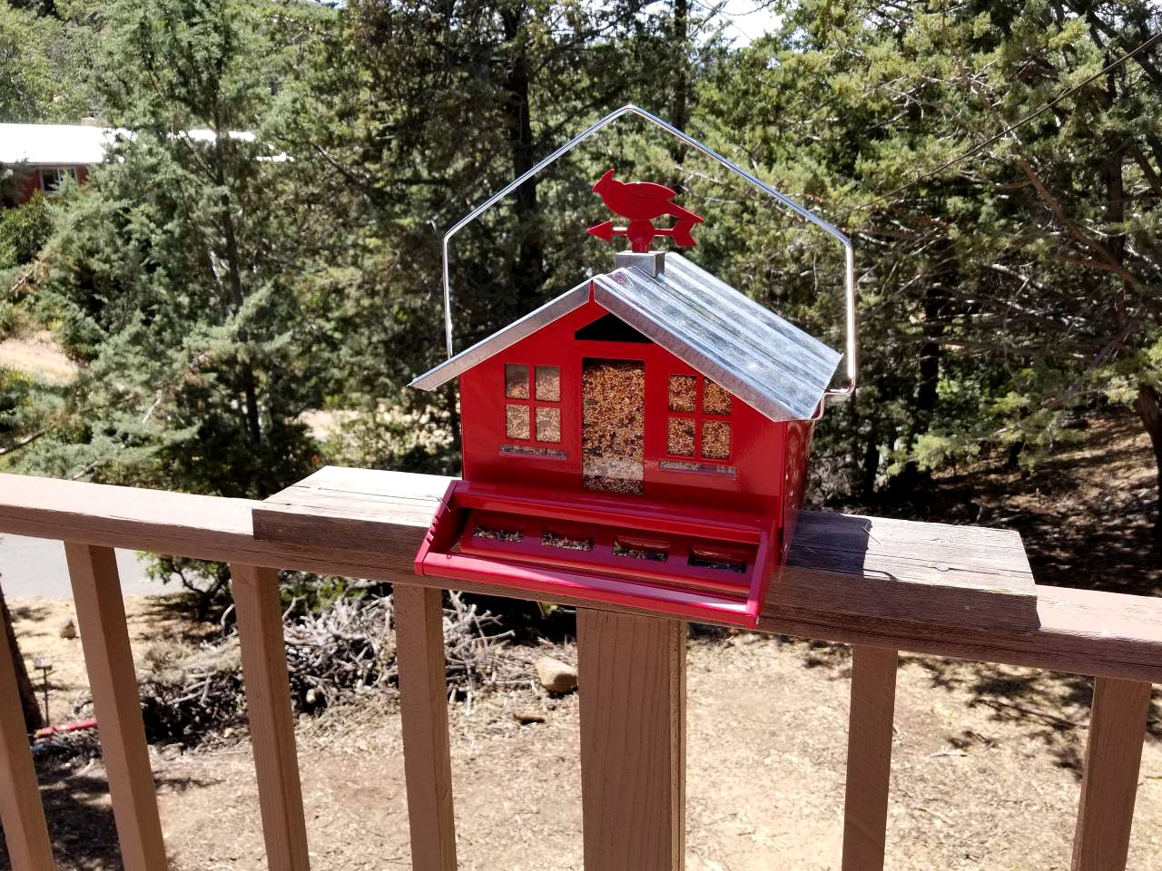 Secluded Cabin in Julian for a Pet-Friendly Weekend Getaway in California