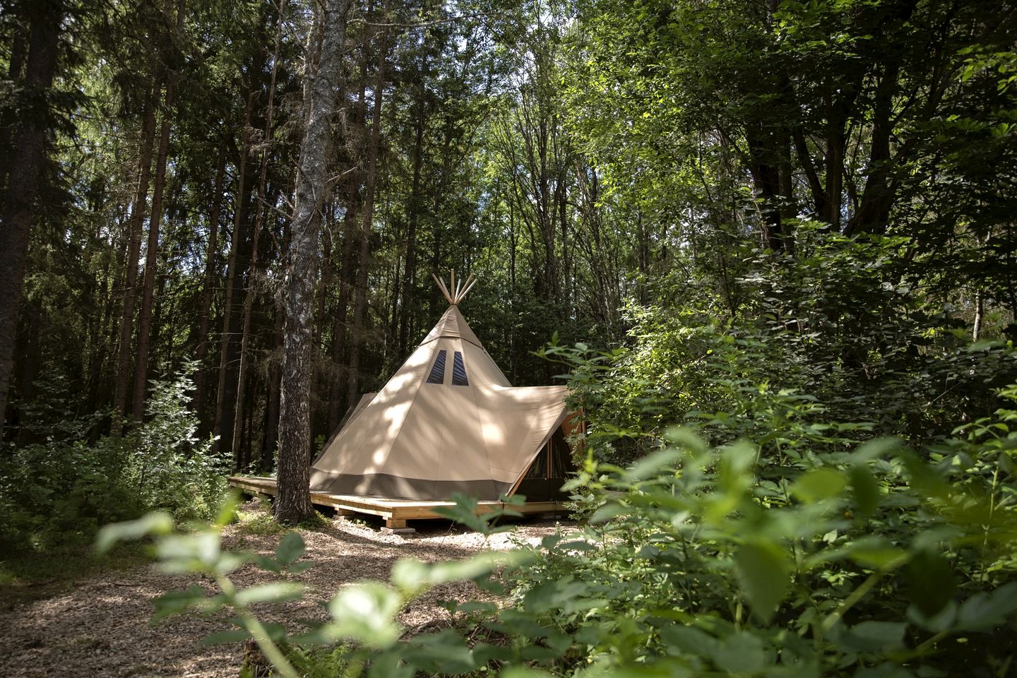 Innovative Nordic Tipi Rental for Glamping in Montana