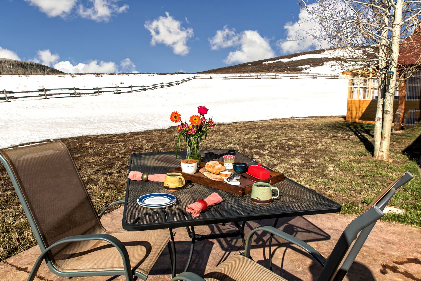 Room in a Pet-Friendly Cabin Rental Perfect for Glamping in Colorado