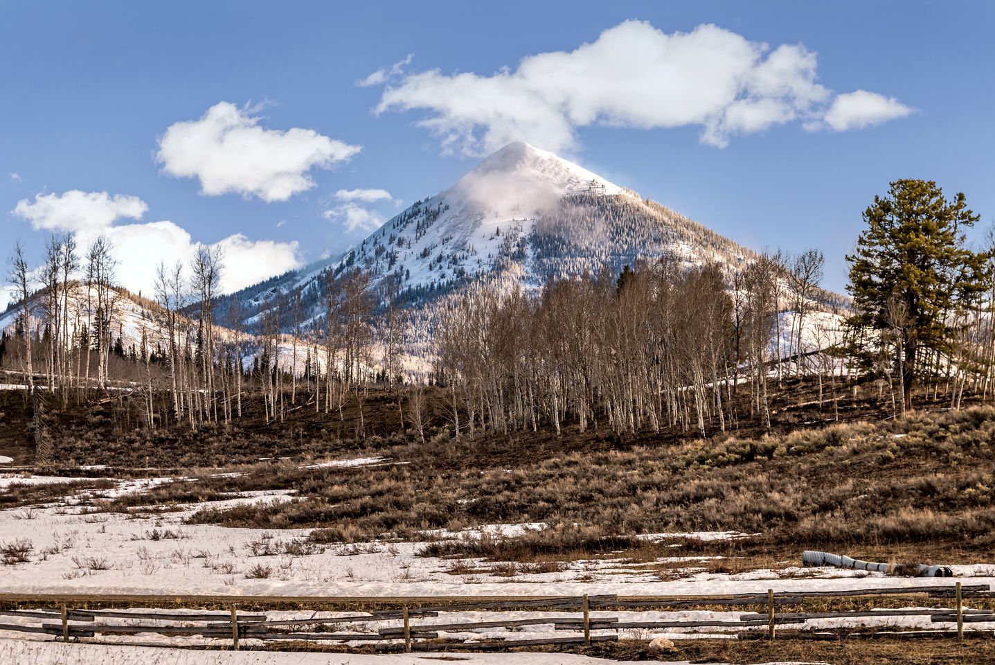 Room in a Pet-Friendly Cabin Rental Perfect for Glamping in Colorado