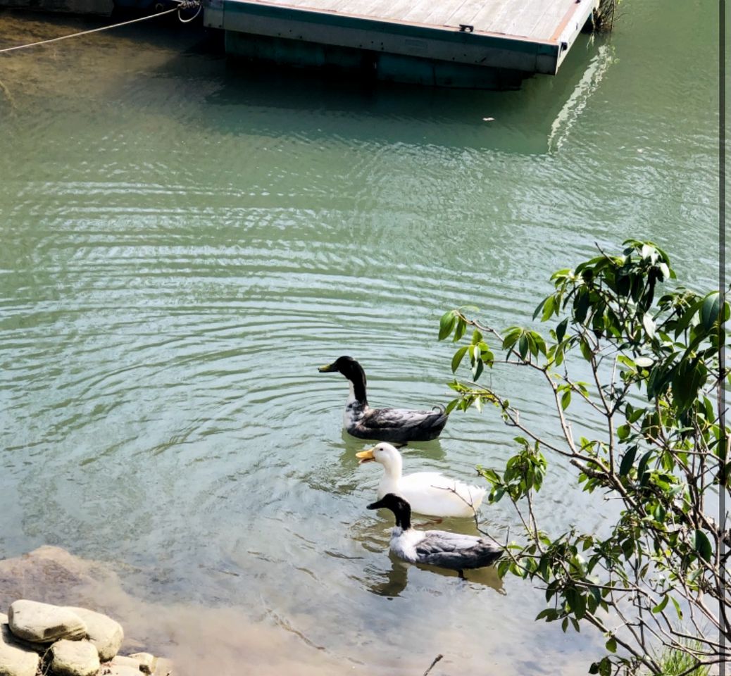 Quaint Alabama Vacation Rental on Little River