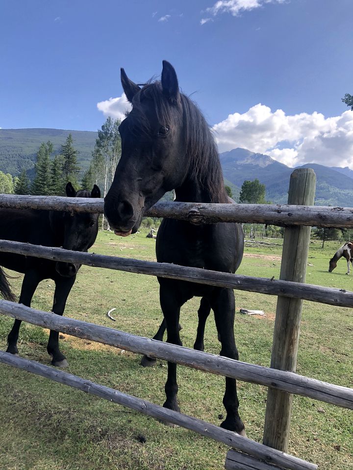 Peaceful Bell Tent Rental on a Ranch for Glamping in BC