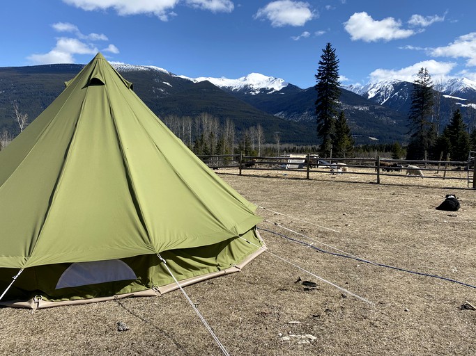 Go glamping in BC at this bell tent rental!