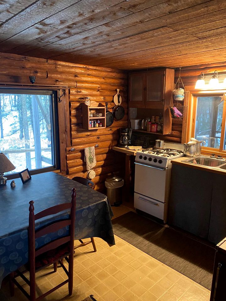 Charming Cabin Rental Ideal for a Family Getaway in Michigan