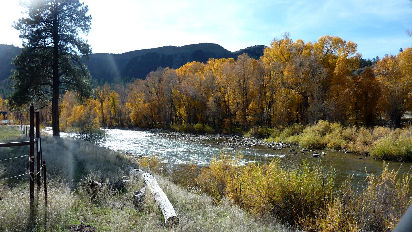 Peaceful Cabin Rental near the Piedra River Perfect for Glamping in Colorado