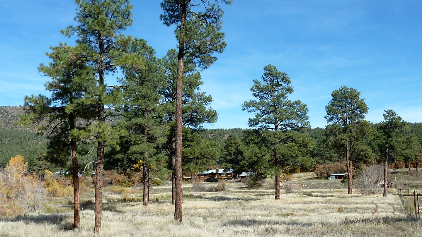 Peaceful Cabin Rental near the Piedra River Perfect for Glamping in Colorado