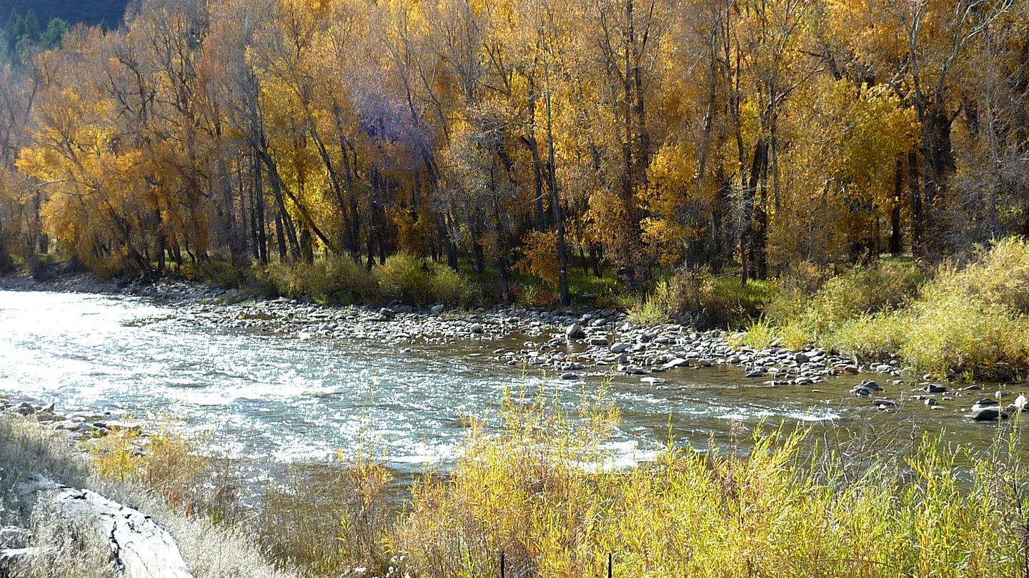 Peaceful Cabin Rental near the Piedra River Perfect for Glamping in Colorado