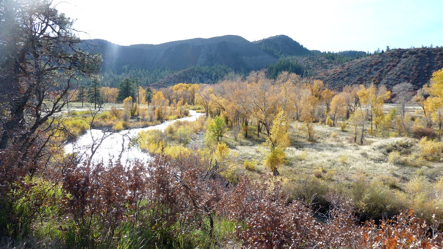 Peaceful Cabin Rental near the Piedra River Perfect for Glamping in Colorado