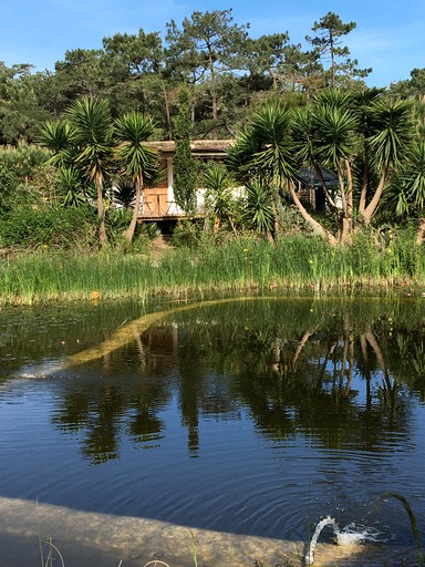 Cabins (Colares, Lisbon District, Portugal)
