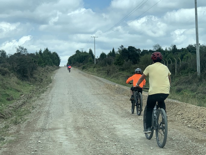 Log Cabins (Cundinamarca, Colombia)