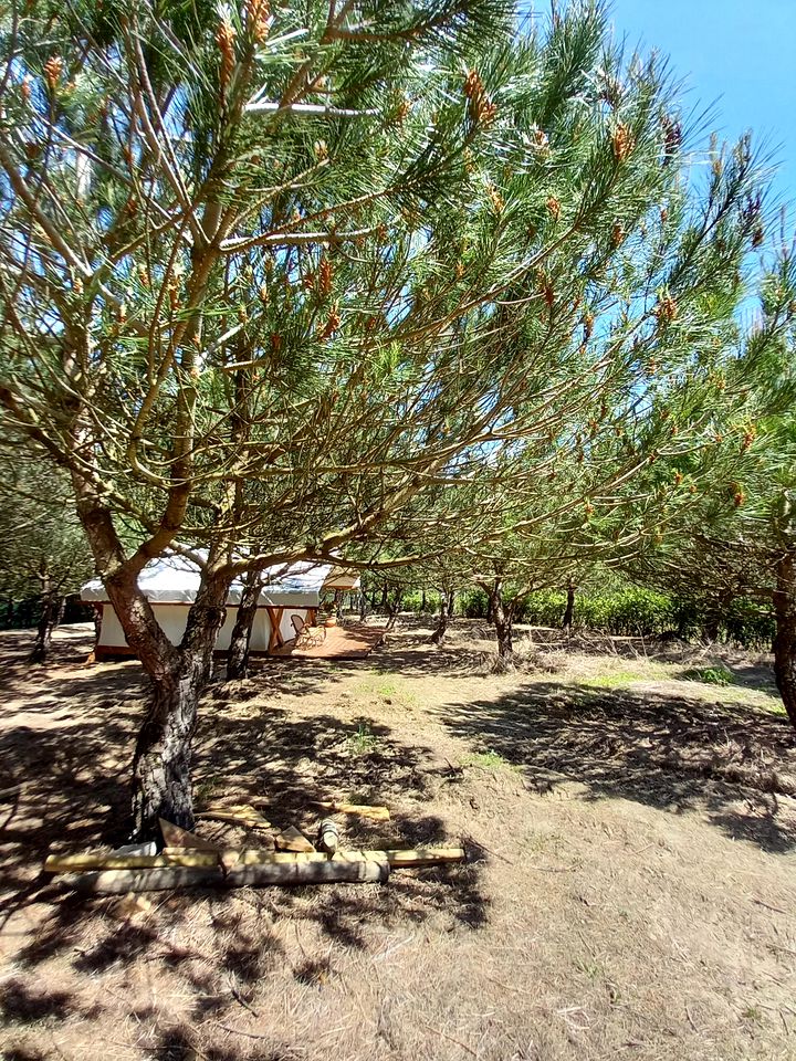 Fabulous Portugal Holiday Tent near Lisbon