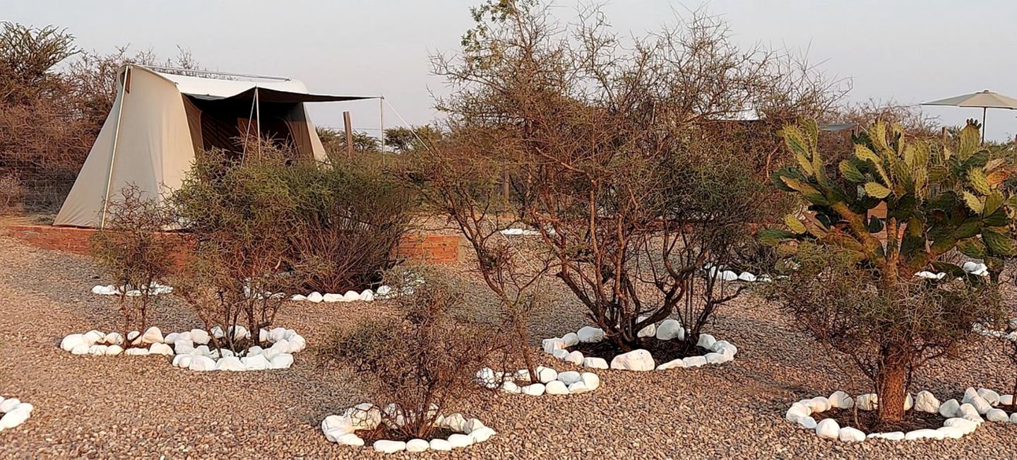 Peaceful Mexico Glamping Tent with Fabulous Views