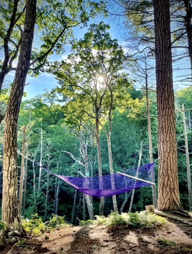 CLONED Relaxing Geodesic Dome Tent for Glamping in New York State | Domes (Wallkill, New York, United States of America)