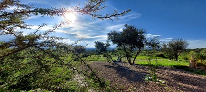 Gorgeous Mexico Glamping Retreat near Mayan Baths - Photo 3