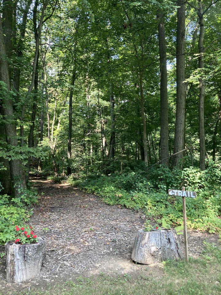 Cozy Bungalow Rental Perfect for Glamping in Michigan