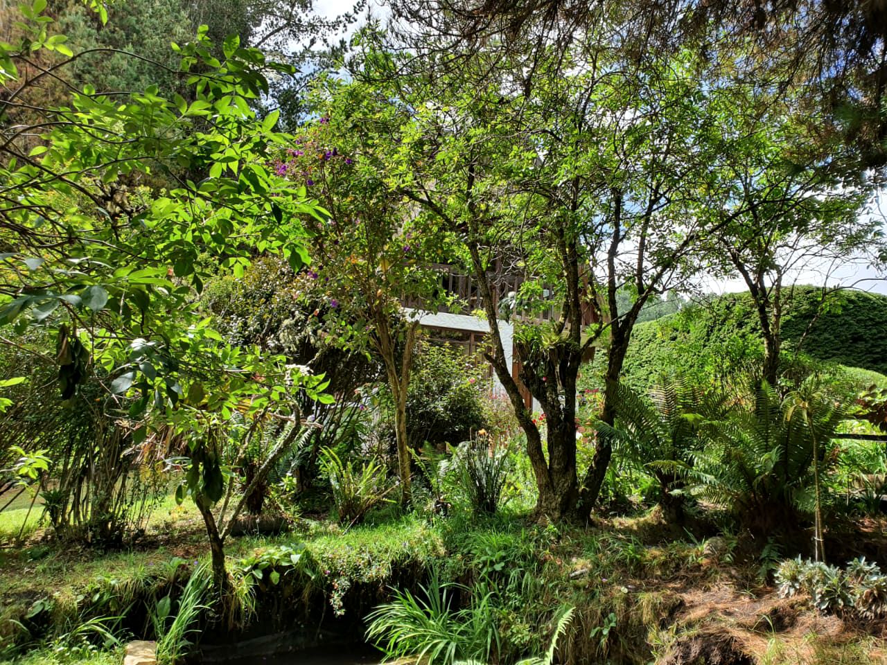 Amazing Guasca Glamping Accommodation in Cundinamarca, Colombia