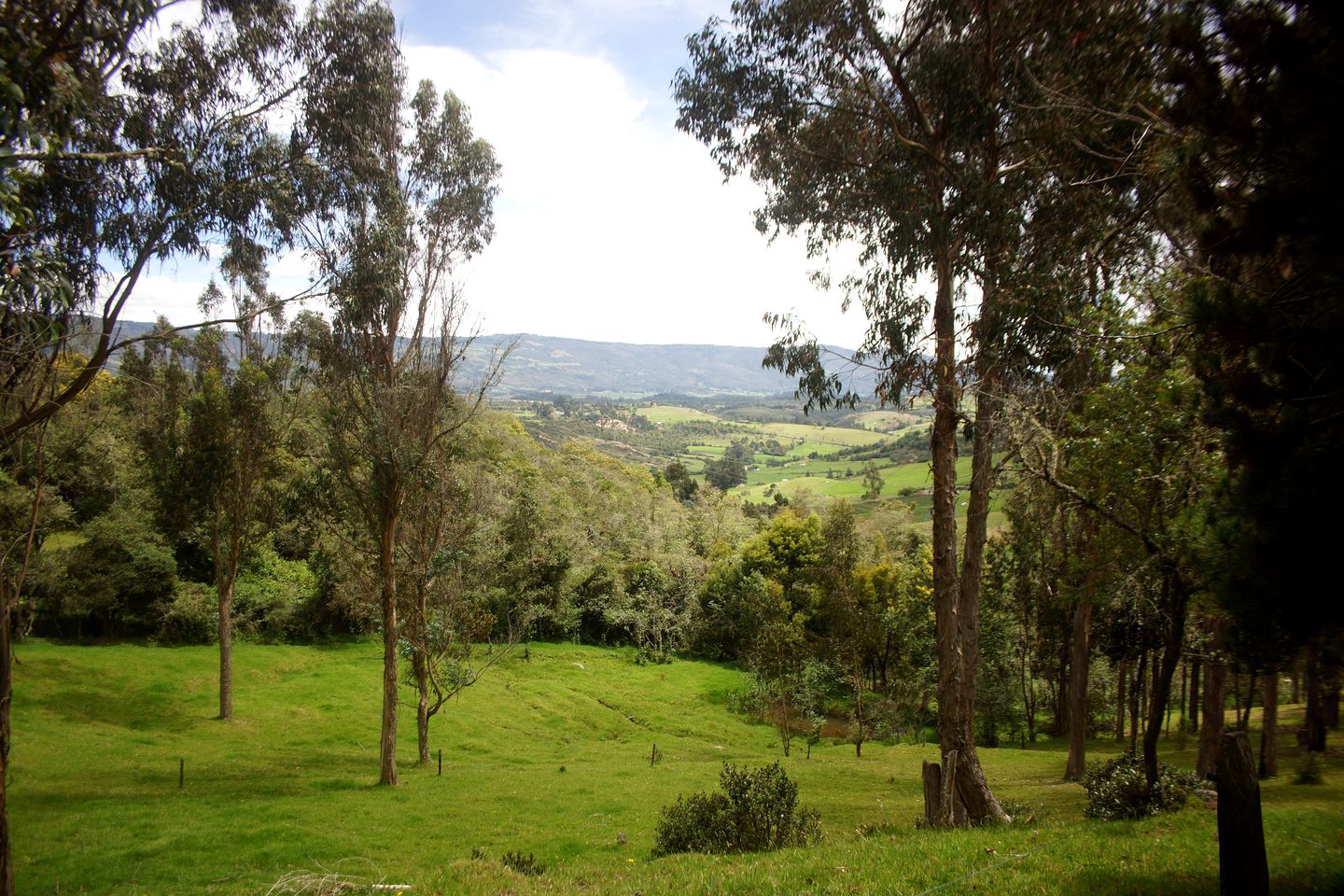 Amazing Guasca Glamping Accommodation in Cundinamarca, Colombia