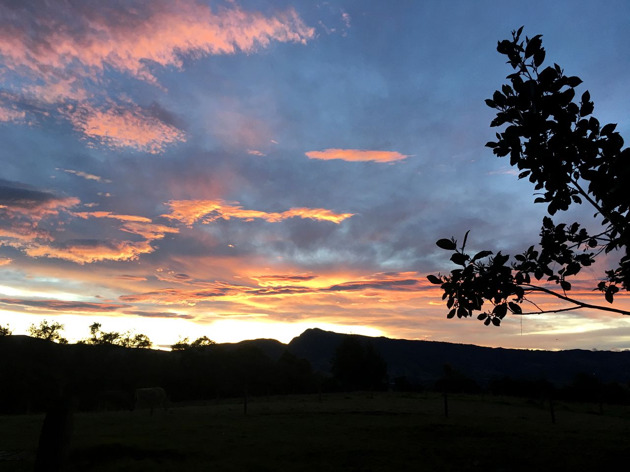 Amazing Guasca Glamping Accommodation in Cundinamarca, Colombia