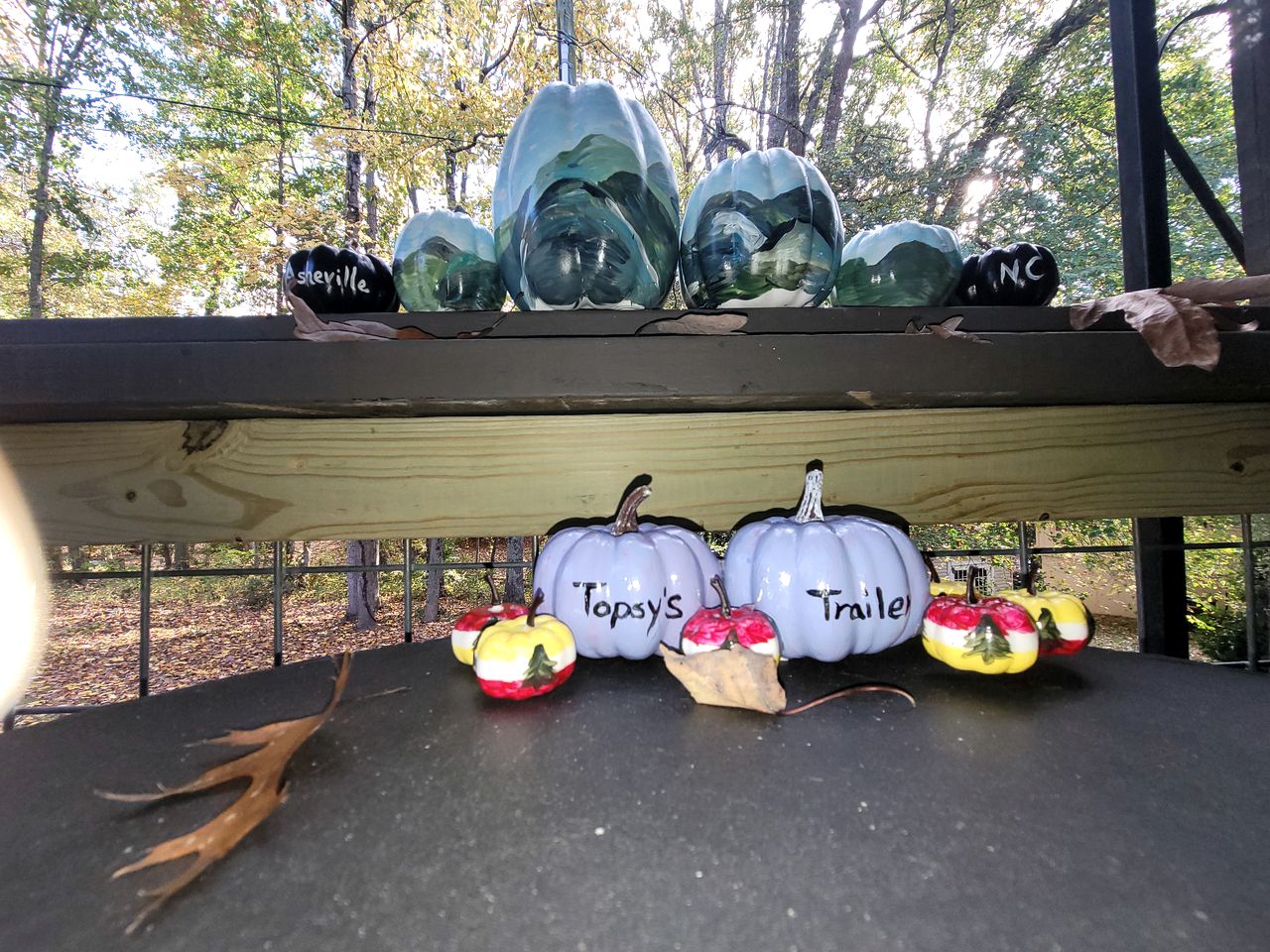 Topsy's Trailer, Private, Fast WiFi, Small Dog Ok, Hot Tub near  Arden, NC