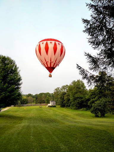 Tree Houses (Holly, Michigan, United States of America)