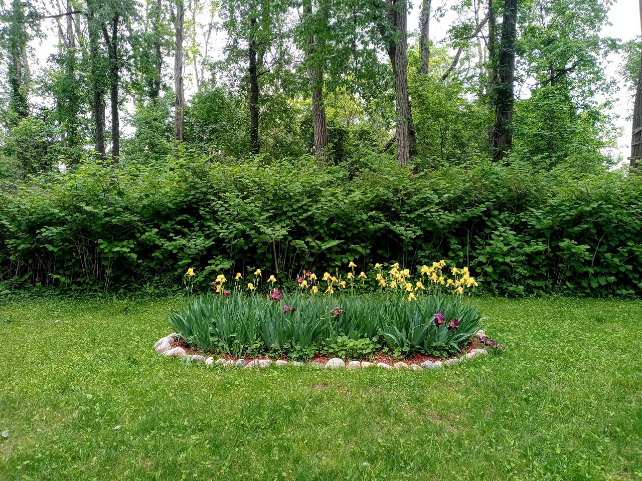 Beautiful Treehouse Under The Stars Near Wolverine, Michigan