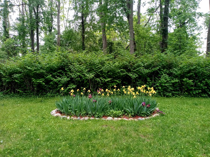 Tree Houses (Holly, Michigan, United States of America)