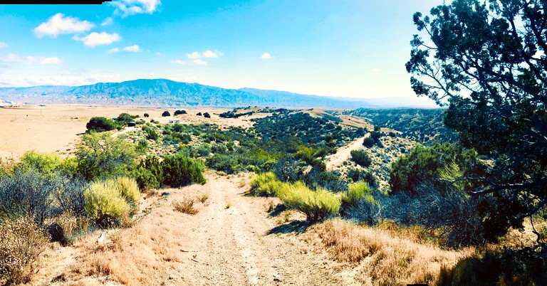 Yurts (New Cuyama, California, United States of America)