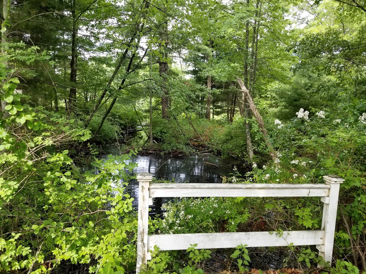 Idyllic Tiny House with a Chiminea Ideal for Weekend Getaways from Boston