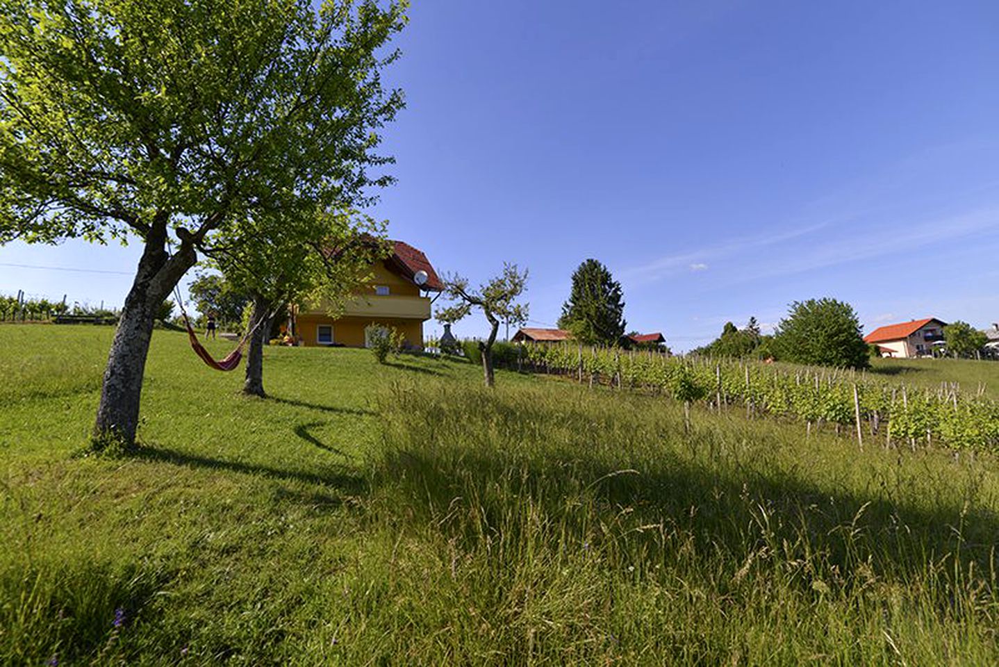 Rural Cottage Rental Ideal for Glamping in Slovenia