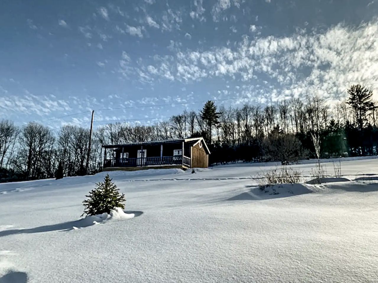 Cabins (Ringtown, Pennsylvania, United States of America)