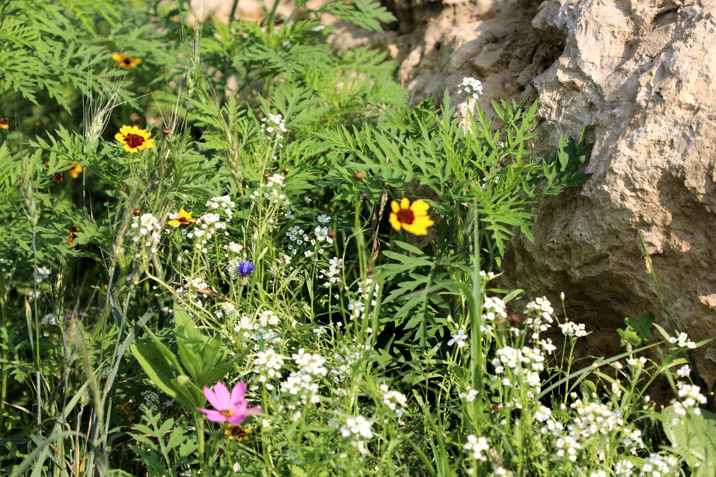 Romantic Cottage in Iowa with Stunning Views