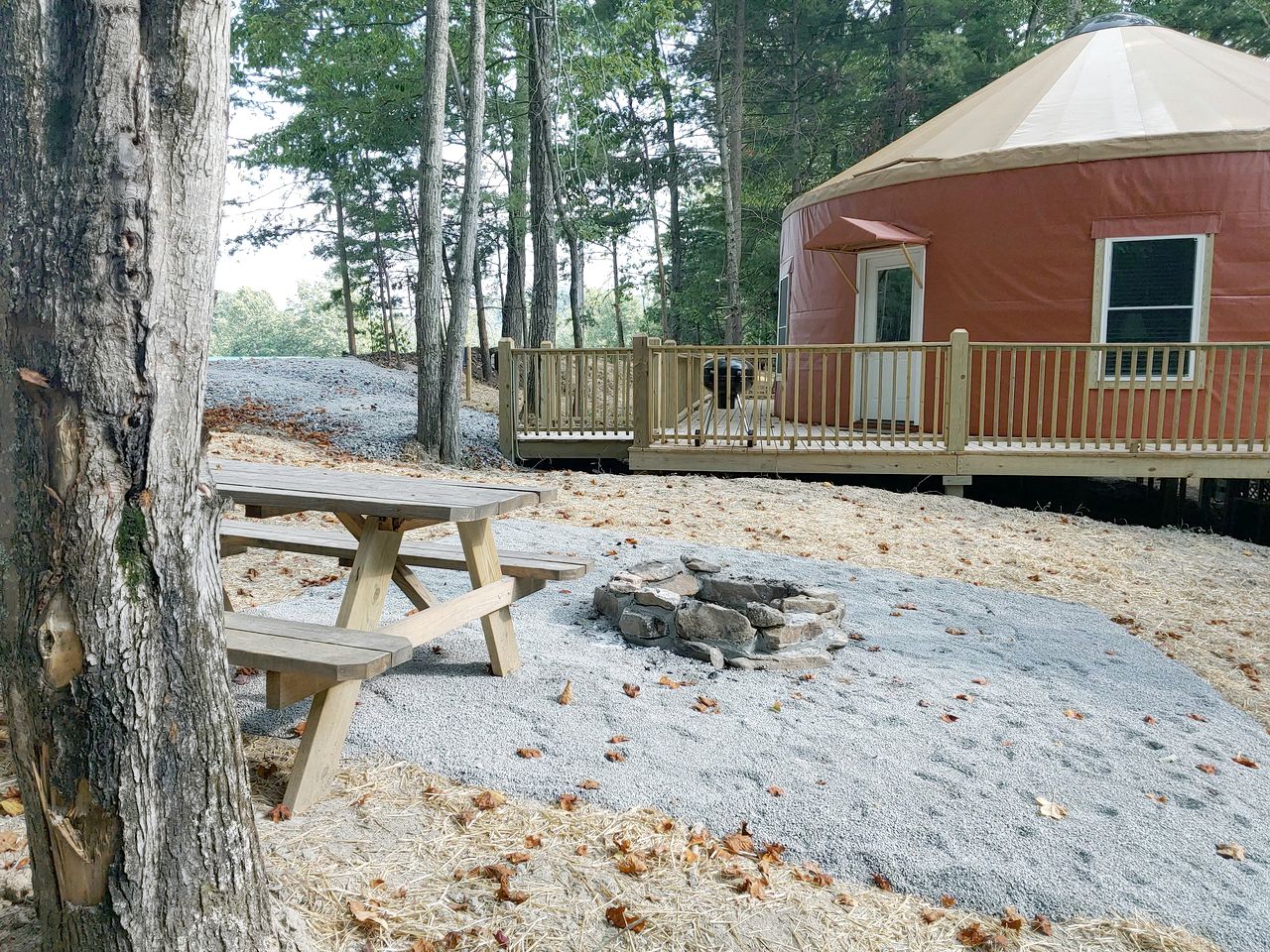 Riverside Mongolian Yurt Glamping Retreat for Six in Virginia