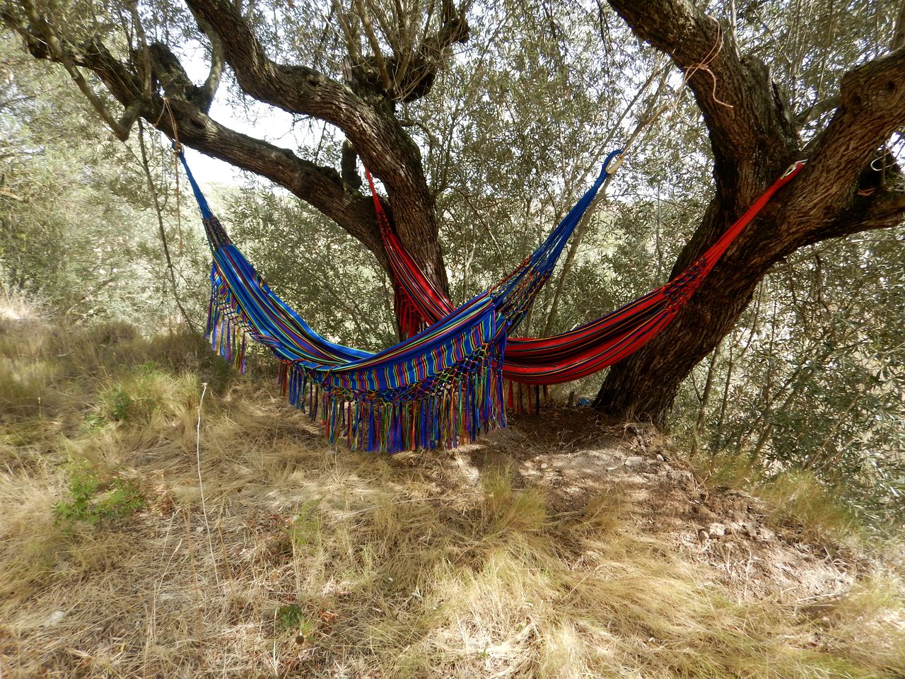 Eco Tipi in Cobera d'Ebre, Ideal for Terra Alta Camping