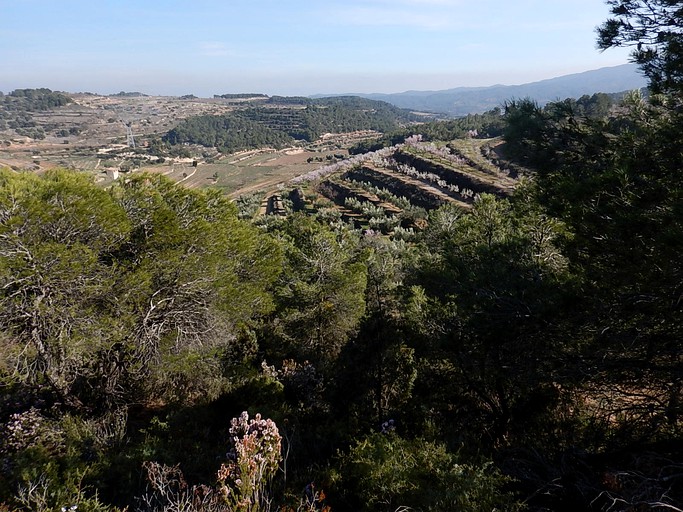 Tipis (Catalonia, Spain)