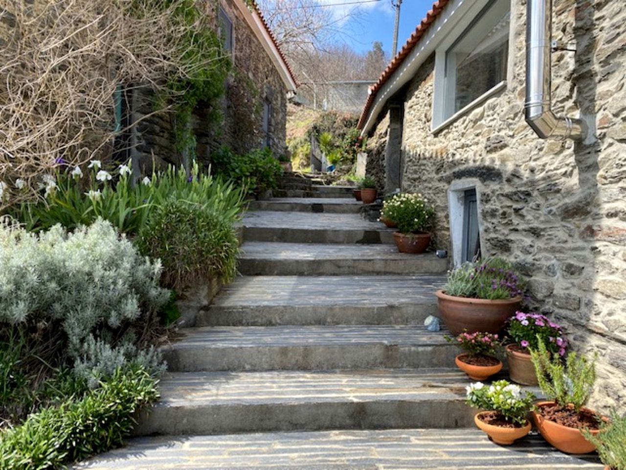 Beautiful Dome Rental Hidden in the Majestic Douro Valley in the North of Portugal