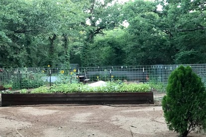 Hidden Treasure Harvest House Forest Getaway 30 Min. West of Fort Worth photo 3