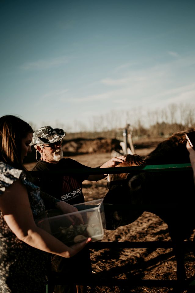 Luxury Camping with Llamas for an Ontario Glamping Farm Experience