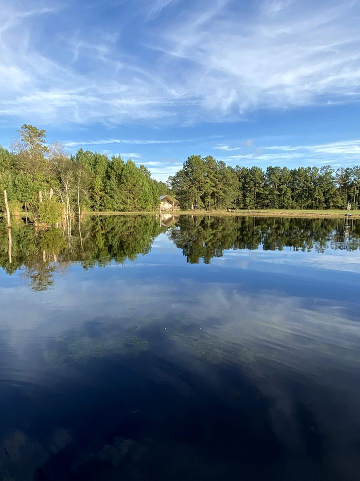 Pet-Friendly Luxury Tent Rental for South Carolina Glamping