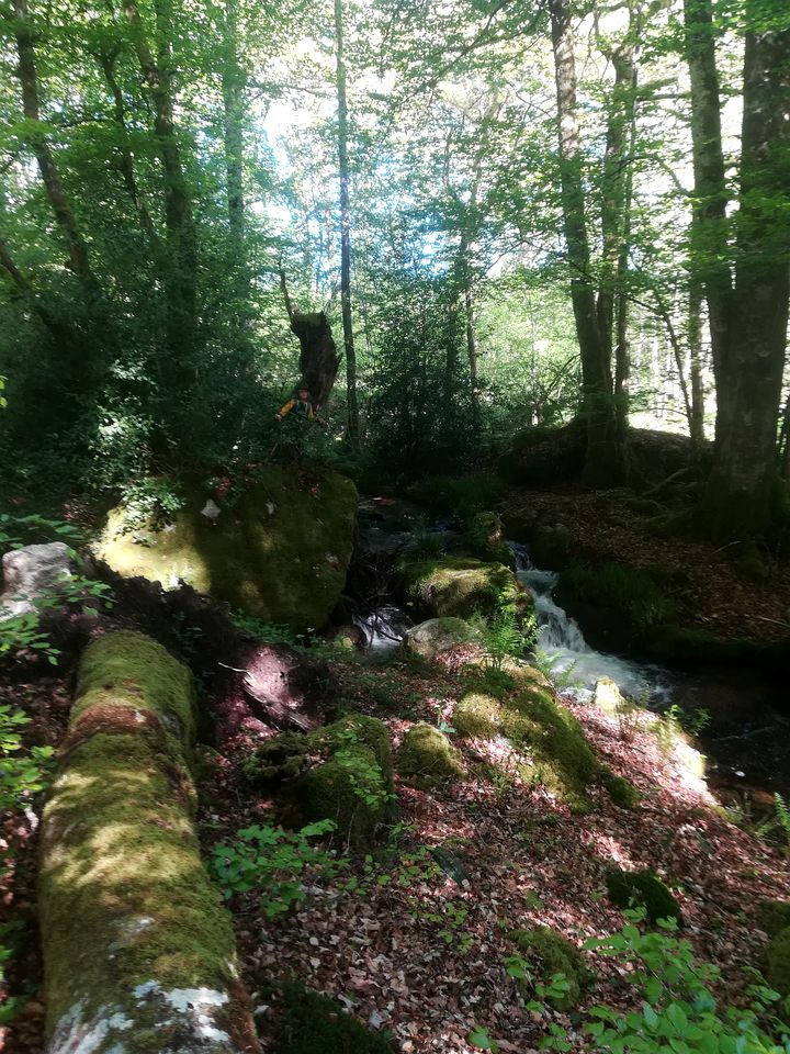 Unique RV Vacation for a Beautiful French Retreat