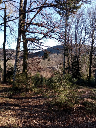 Caravans (Nouvelle-Aquitaine, France)