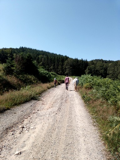 Caravans (Bugeat, Nouvelle-Aquitaine, France)