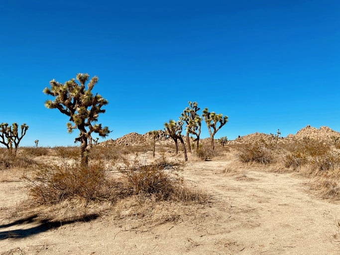 Domes (California, United States of America)