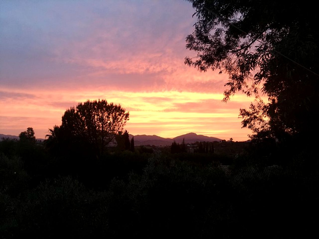 Spanish Yurt makes for a Beautiful Malaga Retreat