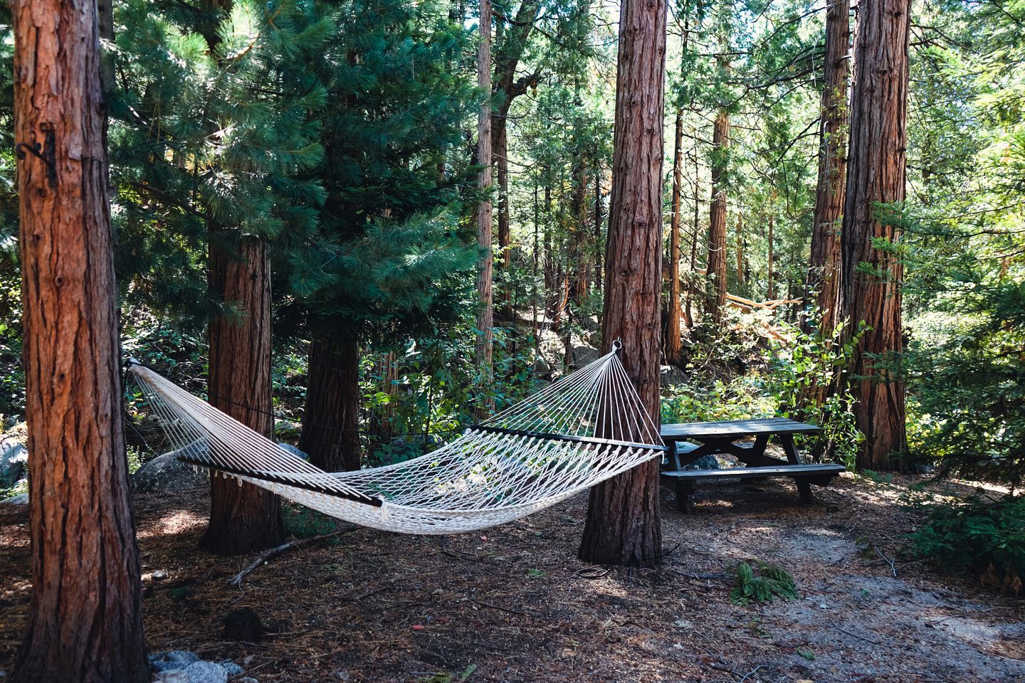 Stunning Log Cabin Retreat for Forest Glamping Escapes in Idyllwide, California