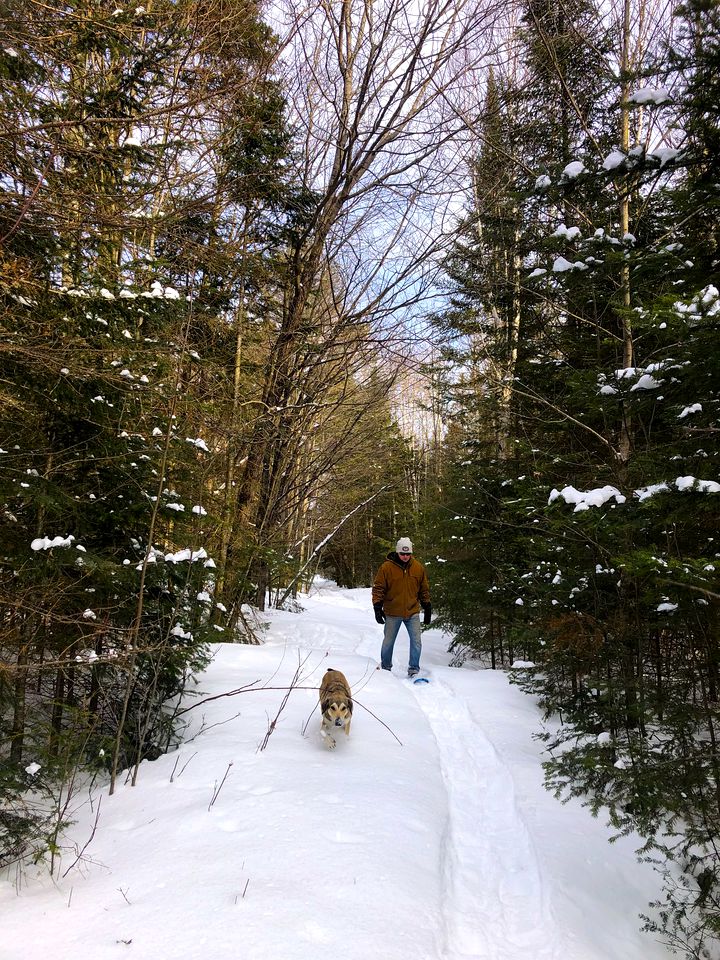 Charming Cabin Rental for Four near Deer Lake in Ontario, Canada