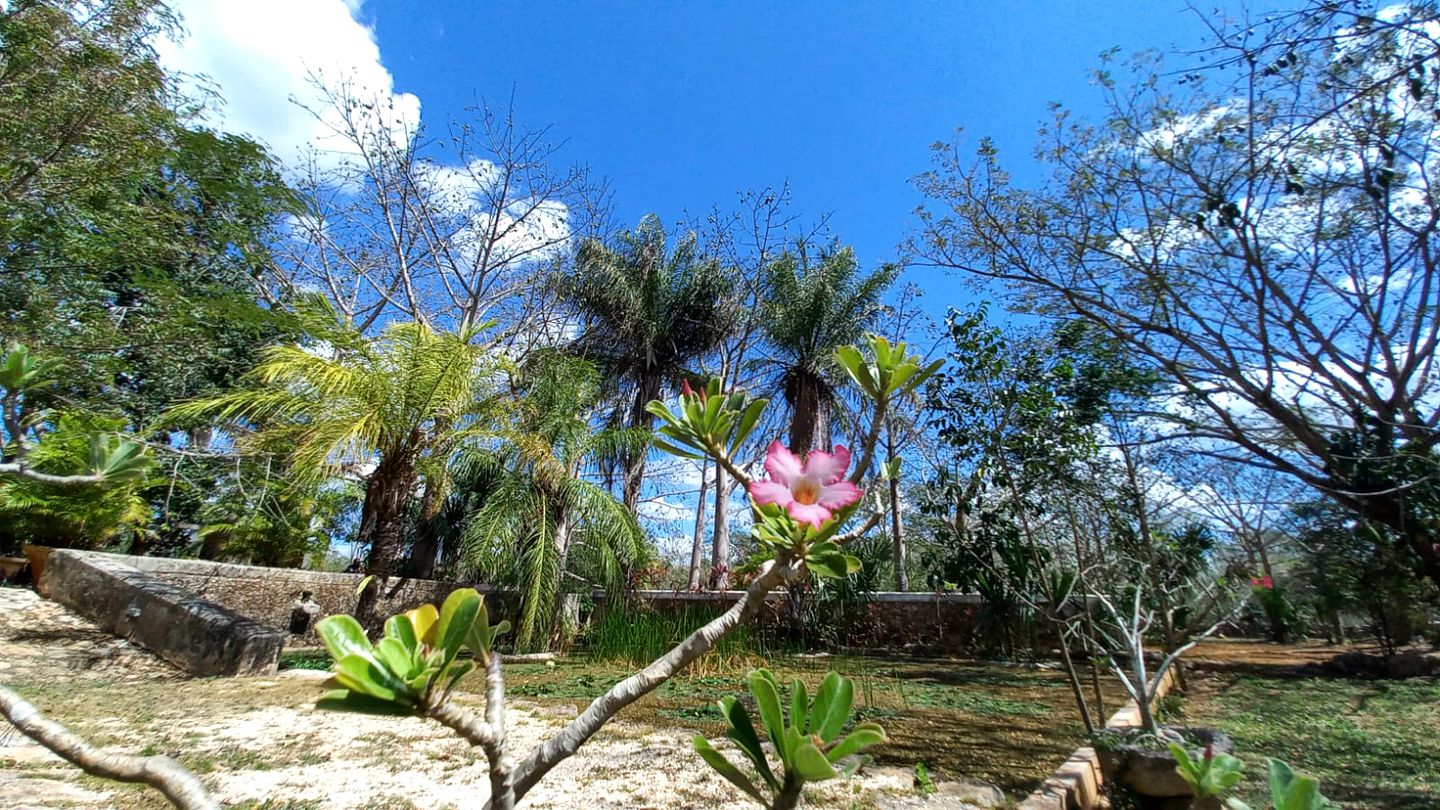 Unique Bell Tent Rental for Romantic Getaway near Conkal, Mexico