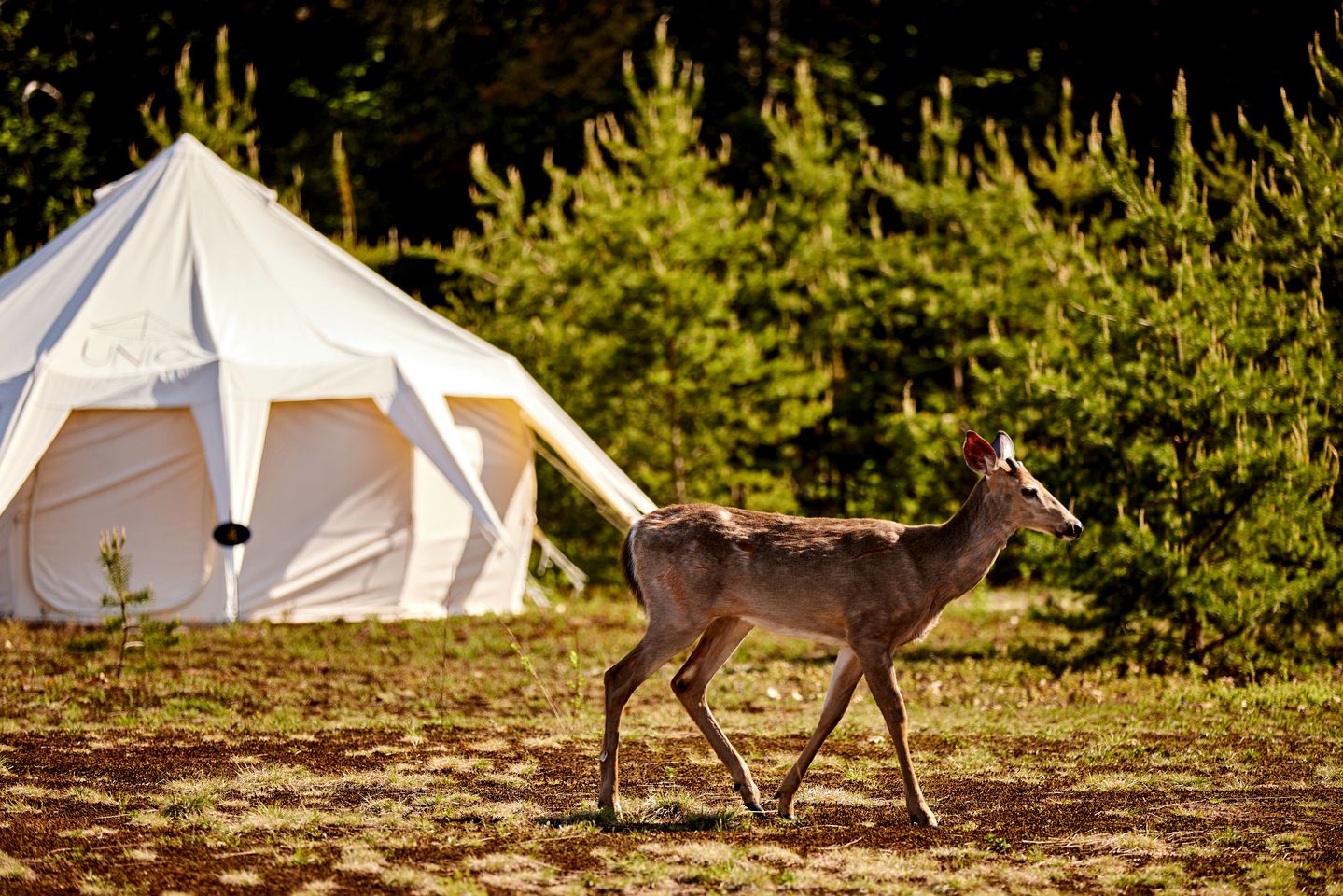 Luxury Bell Tent in Mont Tremblant for a Romantic Getaway