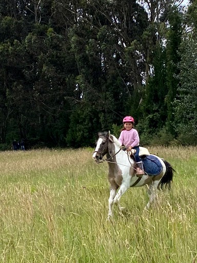 Safari Tents (Ecuador, Cayambe, Pichincha)