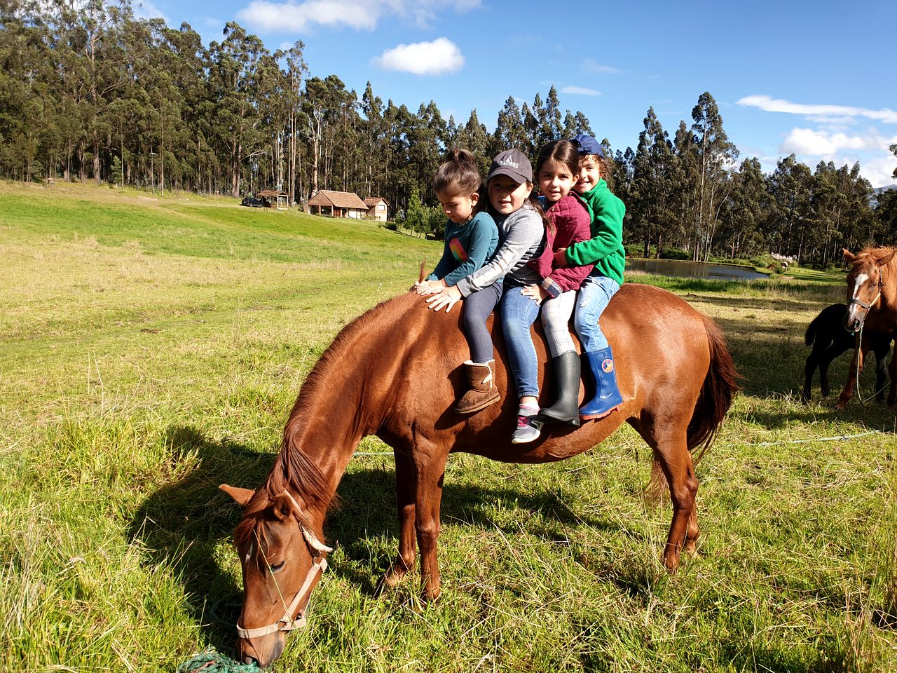 Goregous Safari Tent Resort in Cayambe, Perfect for a Luxurious Adventure