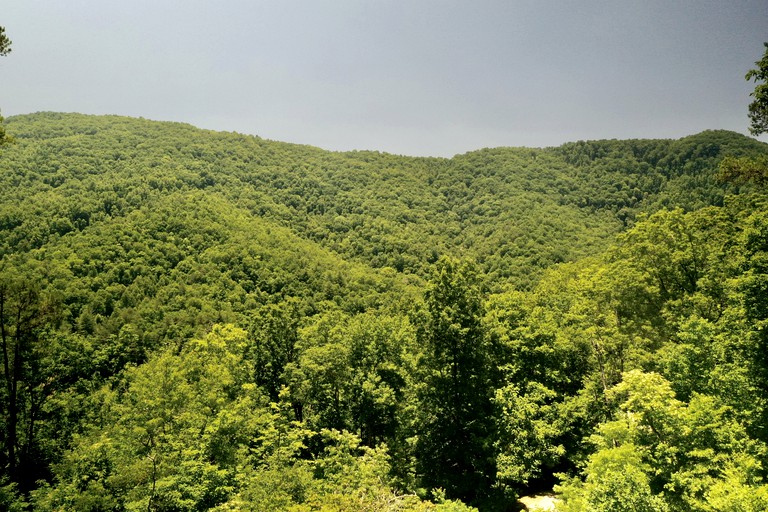 Cabins (United States of America, Bryson City, North Carolina)